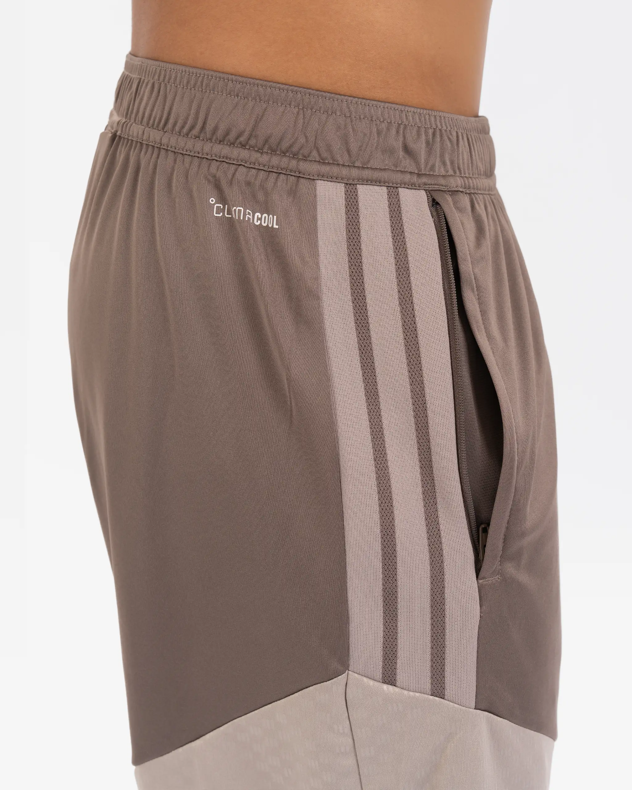 Newcastle United adidas 26/27 Coach's Range Beige Shorts - Image 3