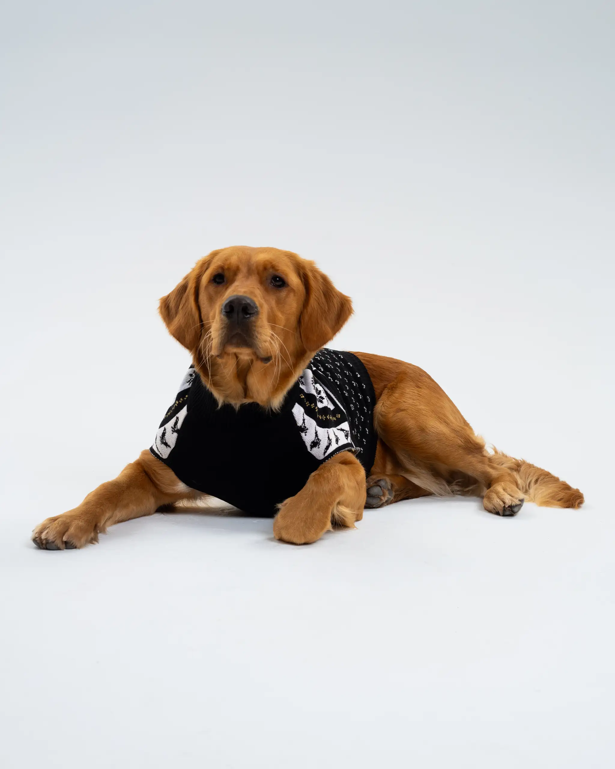 Newcastle United Dog Christmas Jumper - Image 4